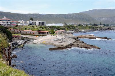 Hermanus